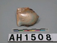 藏品(貝附人工珍珠)的圖片